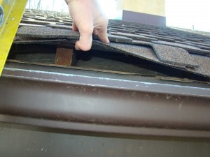 shingles2